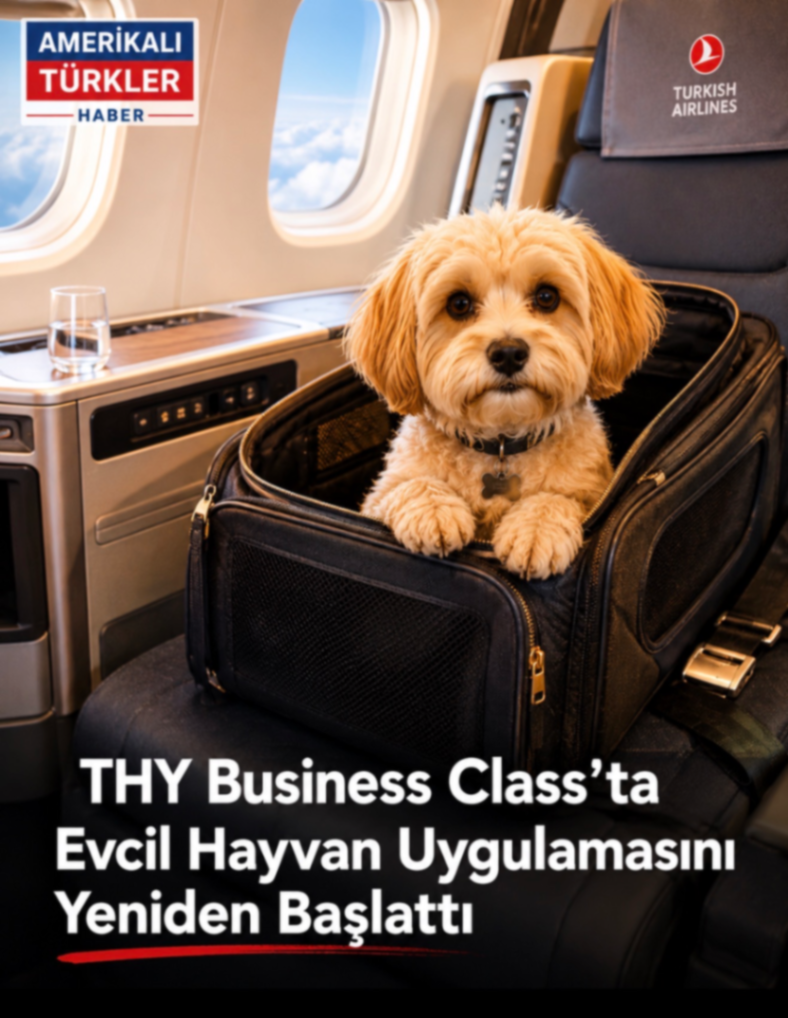 THY Business Class'ta Evcil Hayvan Uygulamasını Yeniden Başlattı