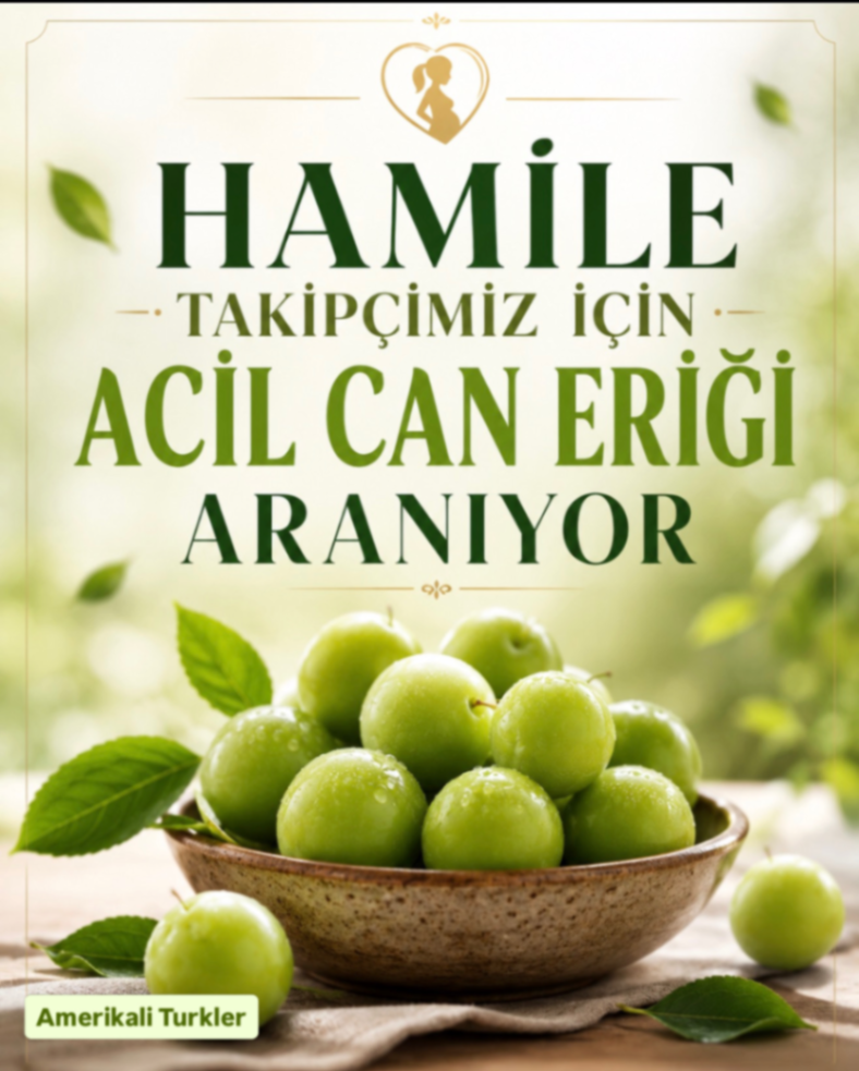 HAMILE - TAKİPÇİMİZ İÇİN - ACİL CAN ERİĞİ ARANIYOR