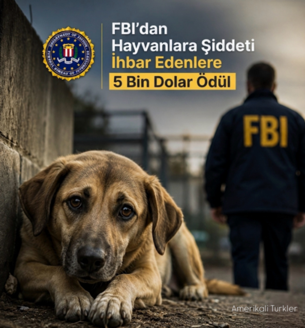 FBI'dan Hayvanlara Şiddeti İhbar Edenlere 5 Bin Dolar Ödül